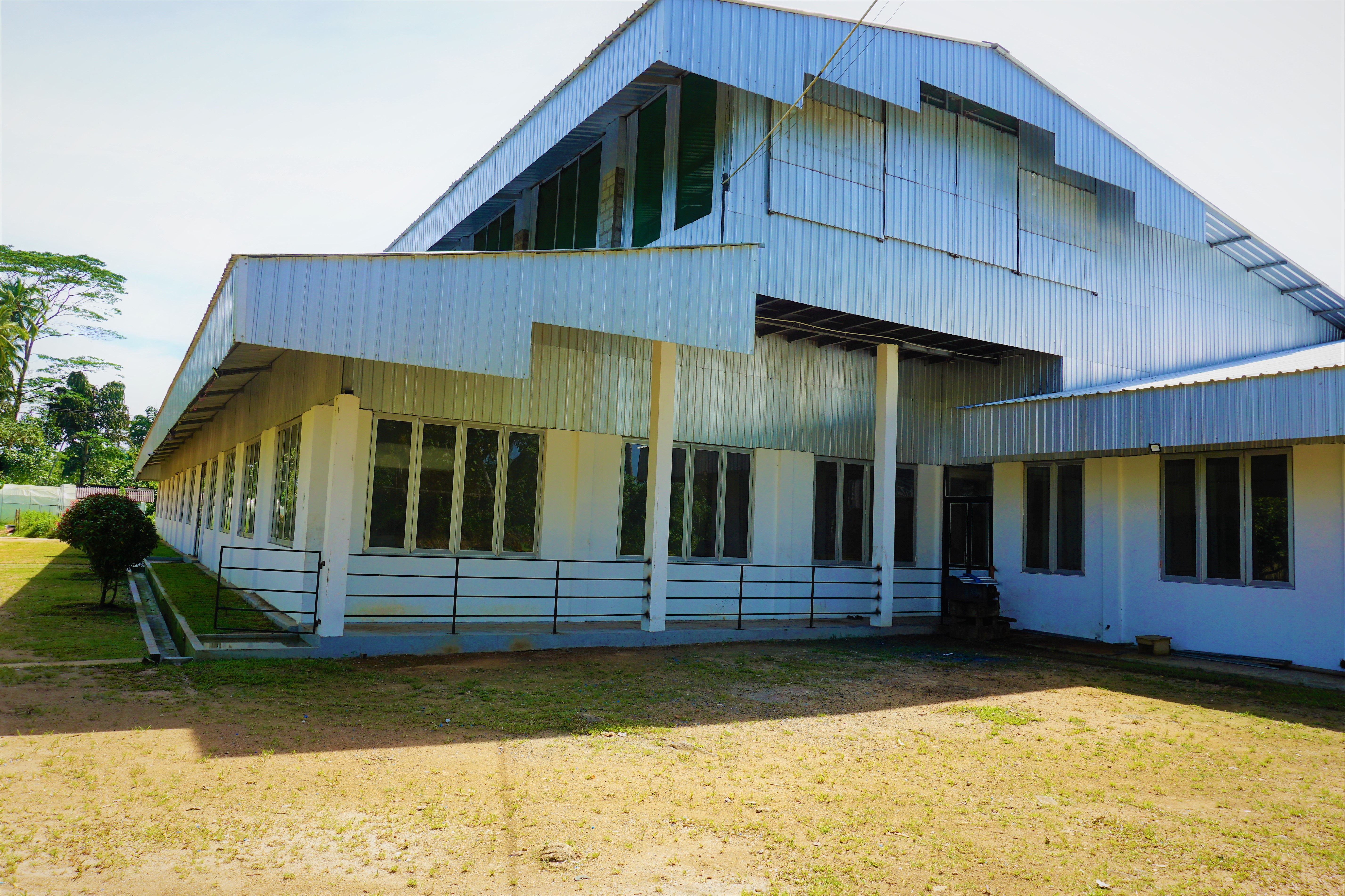 Tea Factory 2