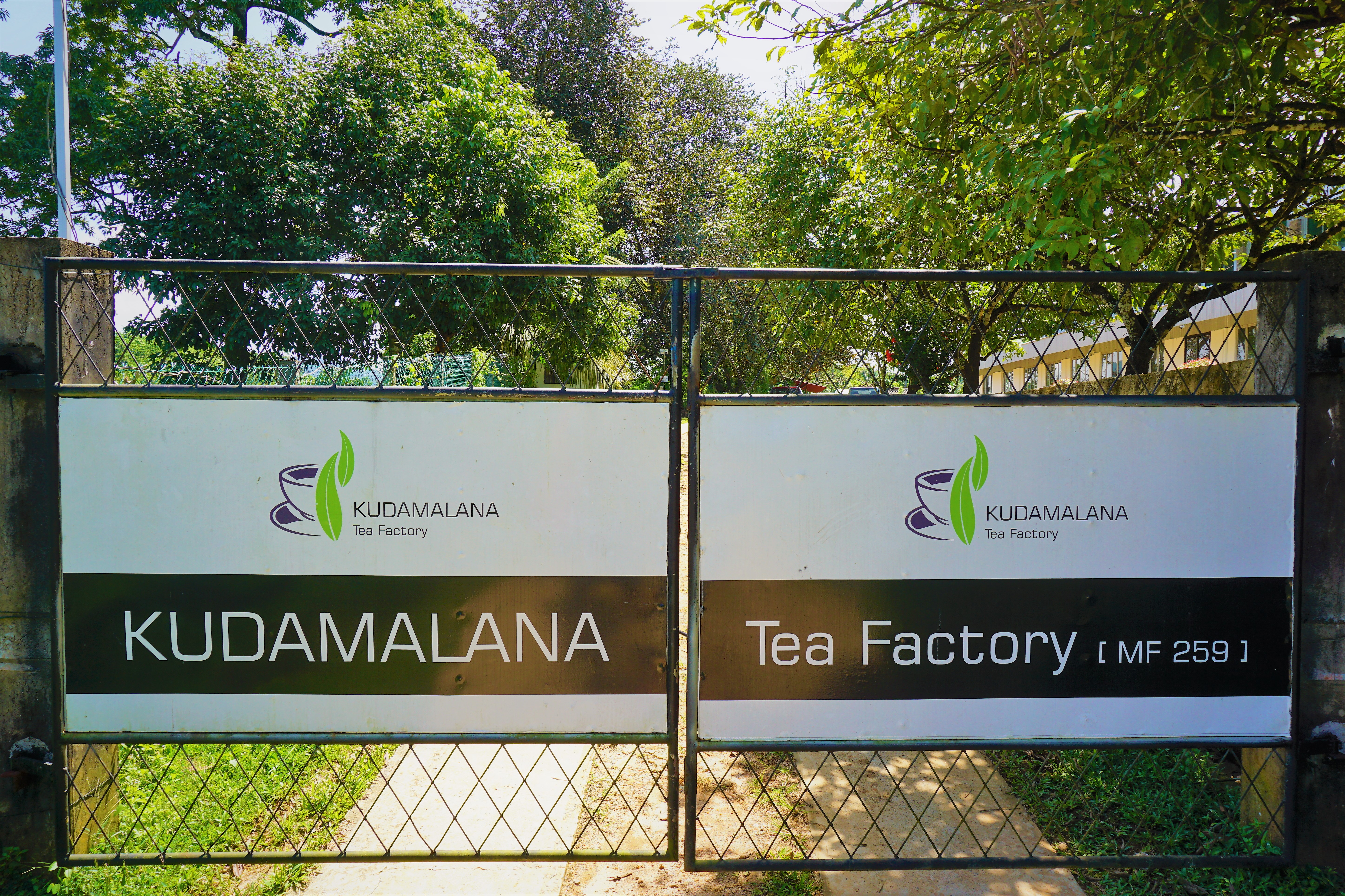 Tea Factory 3